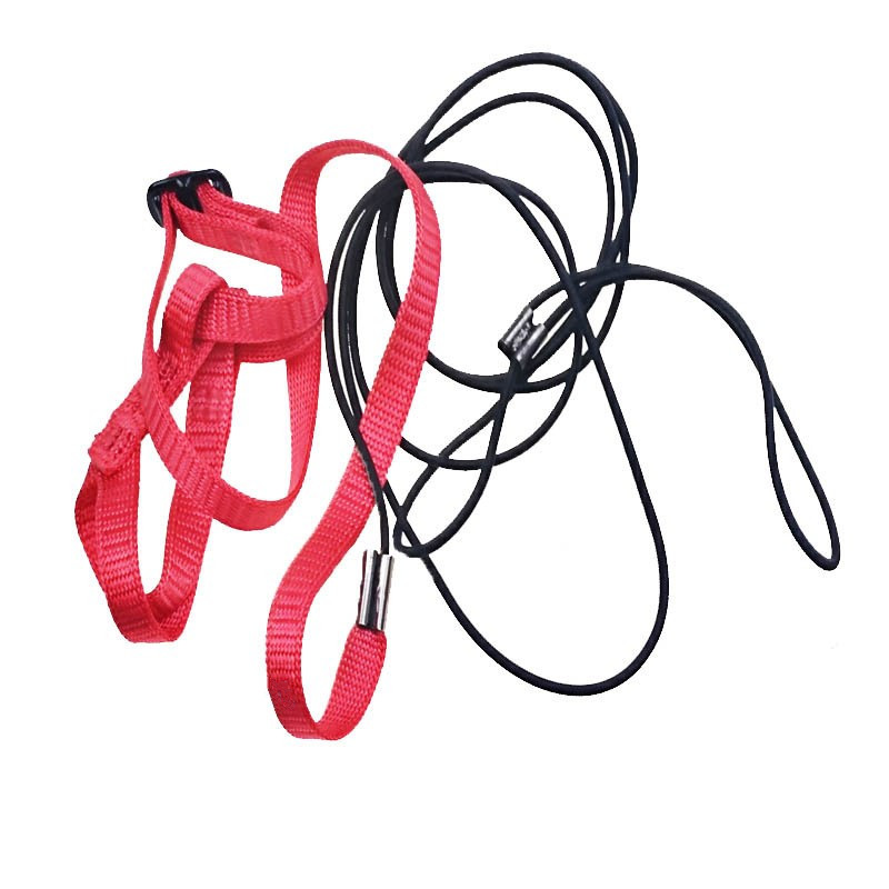 The Hot Selling Bird Harness for Wholesaler The Hot Selling Bird Harness for Wholesaler