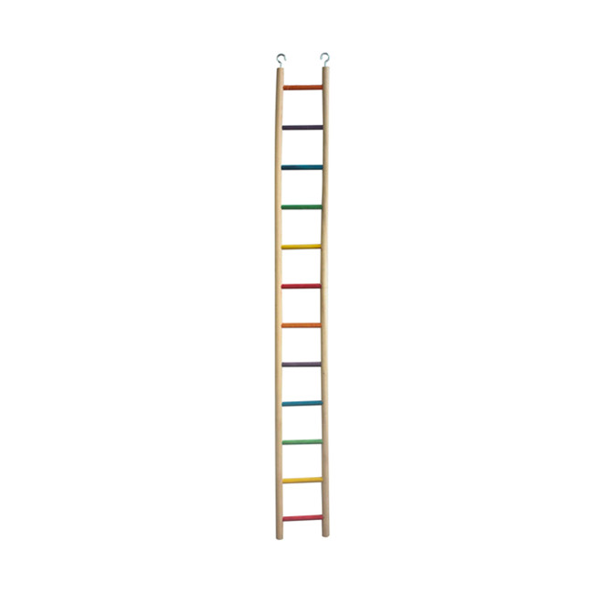 Wholesalers Most Favorite 3 Parrot Ladders 