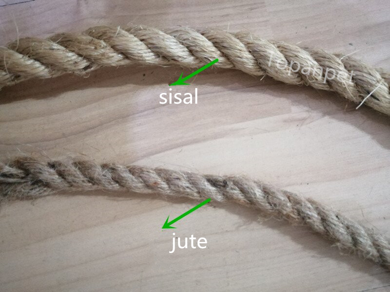The Difference Between Sisal and Jute for Bird Toys The Difference Between Sisal and Jute for Bird Toys