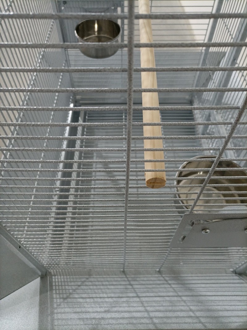 Pet Products Iron Parrot Cage with Rolling Stand for Birdie Parakeets Cockatiels Budgies Parrotlets