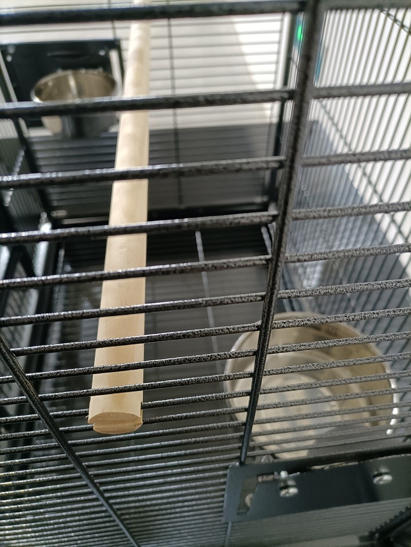 Pet Products Iron Parrot Cage with Rolling Stand for Birdie Parakeets Cockatiels Budgies Parrotlets - Image 7