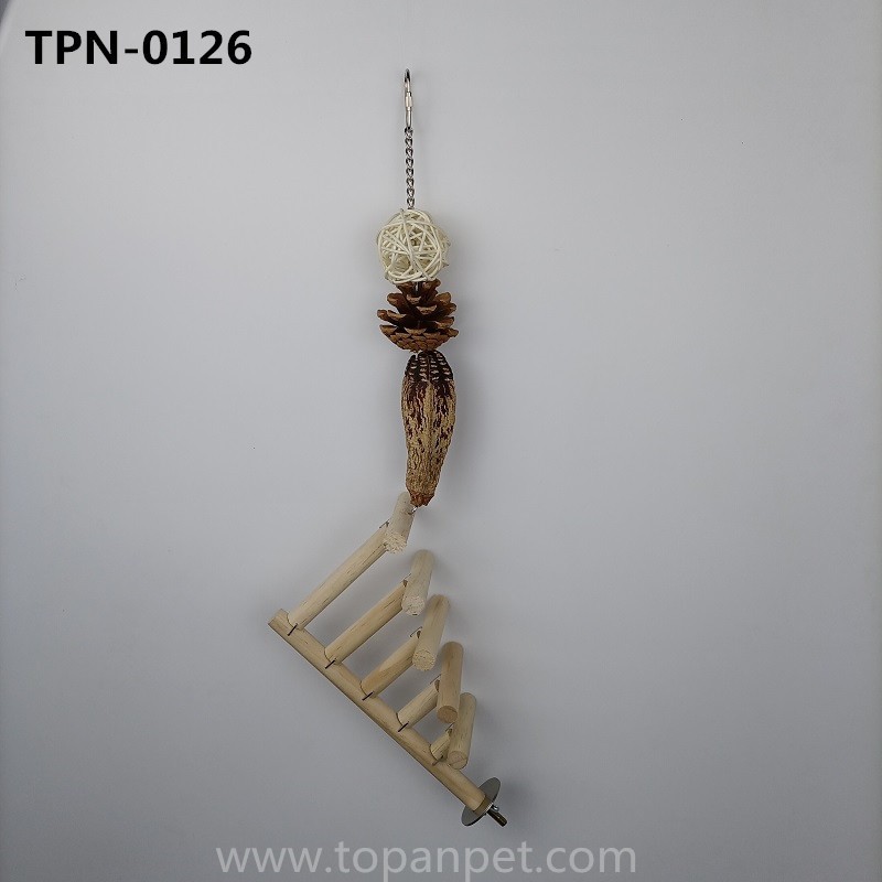 Parrot Wooden Ladder Bird Toys, Long Tailed Parrot Toys with Rattan Ball,Carambola and Pure Natural Pine Cones, Fun Bird Cage AccessoriesTPN-0126 - Image 1