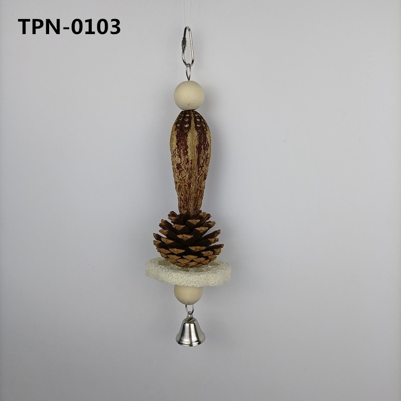 Bird Chewing Toy with Natural Pine Cones and Loofah for Small and Medium Parakeets Cockatiels Conures Lovebirds TPN-0103