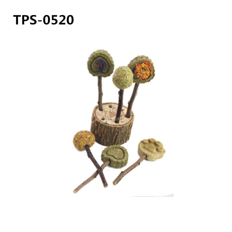Rabbit Chew Educational Toys, Teeth Grinding Bunny Play Lollypop Balls Chew Toys and Treats Rattan Ball Grass Cake for Chinchilla Hamster Guinea Pigs TPS-0520 - Image 1
